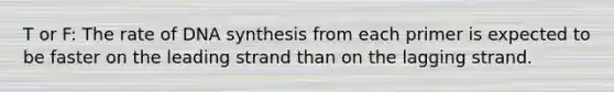 T or F: The rate of DNA synthesis from each primer is expected to be faster on the leading strand than on the lagging strand.