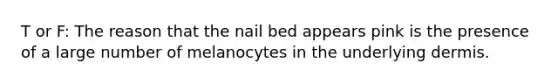 T or F: The reason that the nail bed appears pink is the presence of a large number of melanocytes in the underlying dermis.