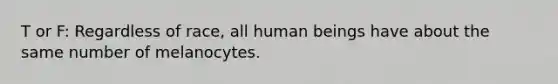 T or F: Regardless of race, all human beings have about the same number of melanocytes.