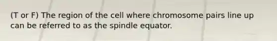 (T or F) The region of the cell where chromosome pairs line up can be referred to as the spindle equator.