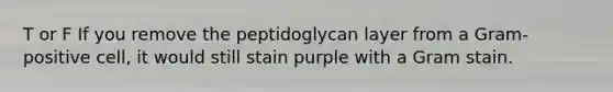 T or F If you remove the peptidoglycan layer from a Gram-positive cell, it would still stain purple with a Gram stain.