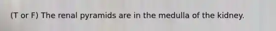 (T or F) The renal pyramids are in the medulla of the kidney.