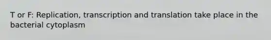 T or F: Replication, transcription and translation take place in the bacterial cytoplasm