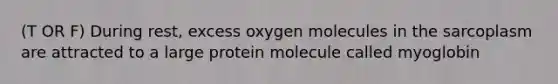 (T OR F) During rest, excess oxygen molecules in the sarcoplasm are attracted to a large protein molecule called myoglobin