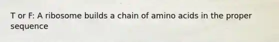 T or F: A ribosome builds a chain of amino acids in the proper sequence