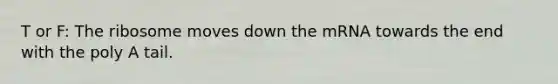 T or F: The ribosome moves down the mRNA towards the end with the poly A tail.