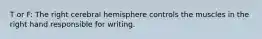 T or F: The right cerebral hemisphere controls the muscles in the right hand responsible for writing.