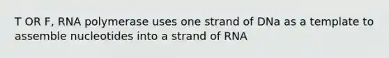 T OR F, RNA polymerase uses one strand of DNa as a template to assemble nucleotides into a strand of RNA