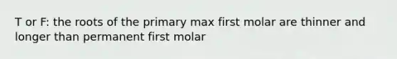 T or F: the roots of the primary max first molar are thinner and longer than permanent first molar