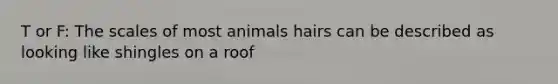 T or F: The scales of most animals hairs can be described as looking like shingles on a roof