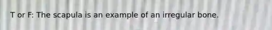 T or F: The scapula is an example of an irregular bone.