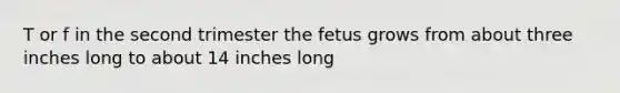 T or f in the second trimester the fetus grows from about three inches long to about 14 inches long