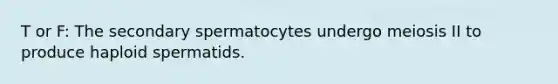 T or F: The secondary spermatocytes undergo meiosis II to produce haploid spermatids.