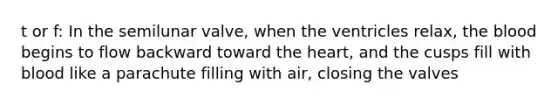 t or f: In the semilunar valve, when the ventricles relax, the blood begins to flow backward toward the heart, and the cusps fill with blood like a parachute filling with air, closing the valves