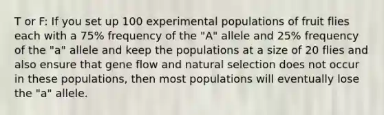 T or F: If you set up 100 experimental populations of fruit flies each with a 75% frequency of the "A" allele and 25% frequency of the "a" allele and keep the populations at a size of 20 flies and also ensure that gene flow and natural selection does not occur in these populations, then most populations will eventually lose the "a" allele.