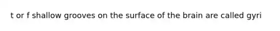 t or f shallow grooves on the surface of the brain are called gyri