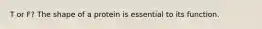 T or F? The shape of a protein is essential to its function.