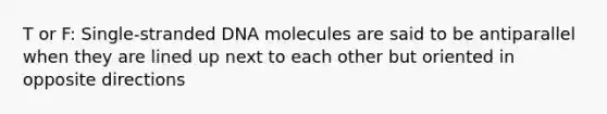 T or F: Single-stranded DNA molecules are said to be antiparallel when they are lined up next to each other but oriented in opposite directions