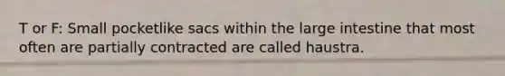 T or F: Small pocketlike sacs within the large intestine that most often are partially contracted are called haustra.
