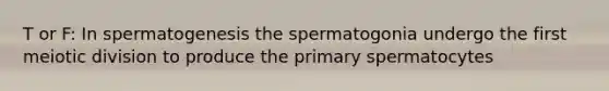 T or F: In spermatogenesis the spermatogonia undergo the first meiotic division to produce the primary spermatocytes