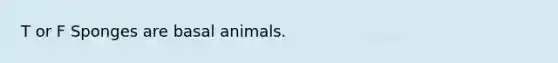 T or F Sponges are basal animals.