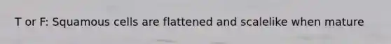 T or F: Squamous cells are flattened and scalelike when mature