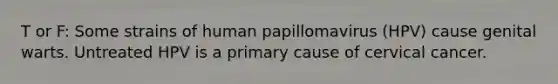 T or F: Some strains of human papillomavirus (HPV) cause genital warts. Untreated HPV is a primary cause of cervical cancer.