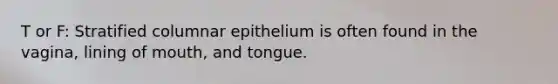 T or F: Stratified columnar epithelium is often found in the vagina, lining of mouth, and tongue.