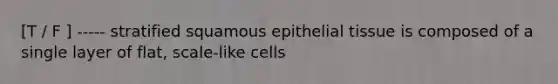 [T / F ] ----- stratified squamous epithelial tissue is composed of a single layer of flat, scale-like cells