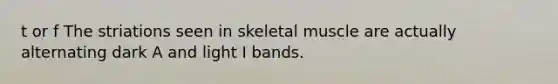 t or f The striations seen in skeletal muscle are actually alternating dark A and light I bands.