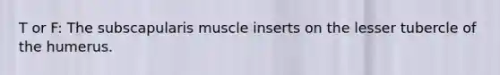 T or F: The subscapularis muscle inserts on the lesser tubercle of the humerus.