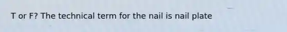 T or F? The technical term for the nail is nail plate