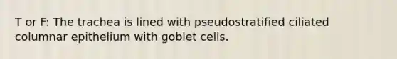 T or F: The trachea is lined with pseudostratified ciliated columnar epithelium with goblet cells.