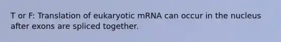 T or F: Translation of eukaryotic mRNA can occur in the nucleus after exons are spliced together.