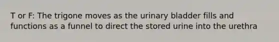 T or F: The trigone moves as the urinary bladder fills and functions as a funnel to direct the stored urine into the urethra