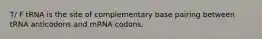 T/ F tRNA is the site of complementary base pairing between tRNA anticodons and mRNA codons.