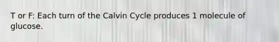 T or F: Each turn of the Calvin Cycle produces 1 molecule of glucose.