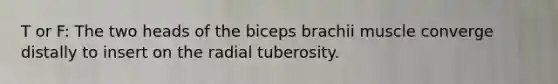 T or F: The two heads of the biceps brachii muscle converge distally to insert on the radial tuberosity.