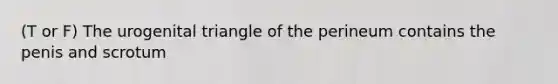 (T or F) The urogenital triangle of the perineum contains the penis and scrotum