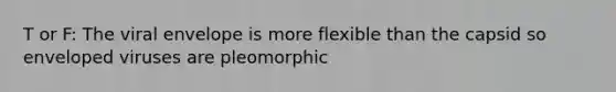 T or F: The viral envelope is more flexible than the capsid so enveloped viruses are pleomorphic