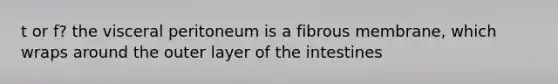 t or f? the visceral peritoneum is a fibrous membrane, which wraps around the outer layer of the intestines