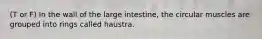 (T or F) In the wall of the large intestine, the circular muscles are grouped into rings called haustra.