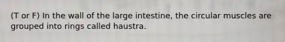 (T or F) In the wall of the large intestine, the circular muscles are grouped into rings called haustra.