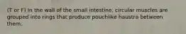 (T or F) In the wall of the small intestine, circular muscles are grouped into rings that produce pouchlike haustra between them.