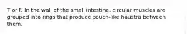 T or F. In the wall of the small intestine, circular muscles are grouped into rings that produce pouch-like haustra between them.