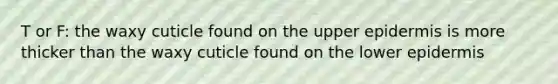 T or F: the waxy cuticle found on the upper epidermis is more thicker than the waxy cuticle found on the lower epidermis