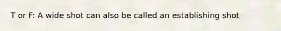 T or F: A wide shot can also be called an establishing shot