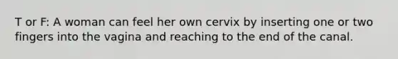 T or F: A woman can feel her own cervix by inserting one or two fingers into the vagina and reaching to the end of the canal.