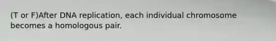 (T or F)After DNA replication, each individual chromosome becomes a homologous pair.