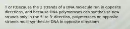 T or F:Because the 2 strands of a DNA molecule run in opposite directions, and because DNA polymerases can synthesize new strands only in the 5' to 3' direction, polymerases on opposite strands must synthesize DNA in opposite directions